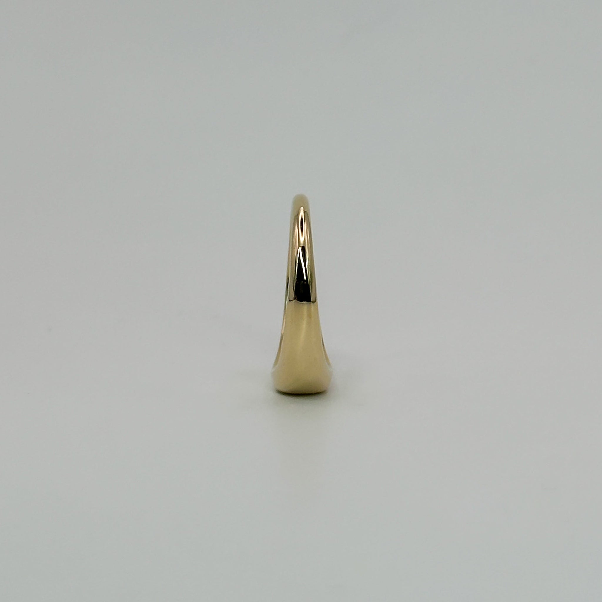 SIGNATURE SIGNET RING II